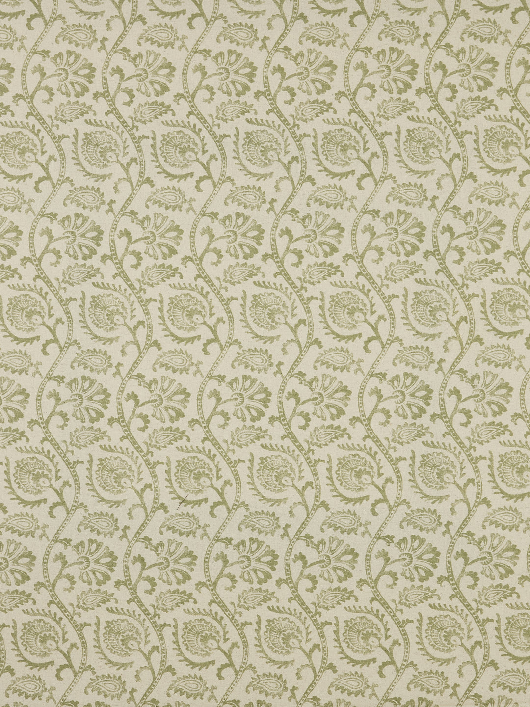Calla - Sage