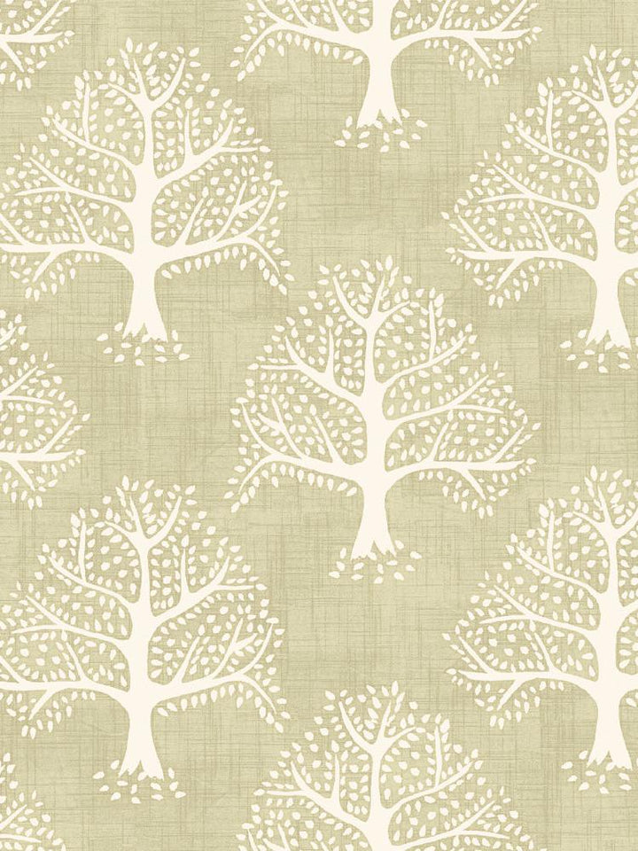 Great Oak - Willow