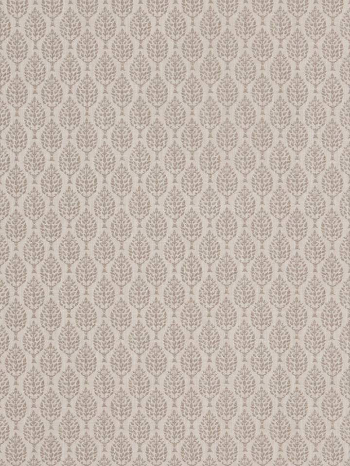 Kemble - Cashmere