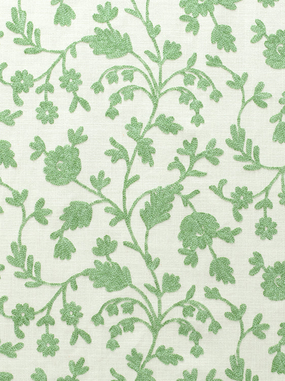 Lucca - Thyme