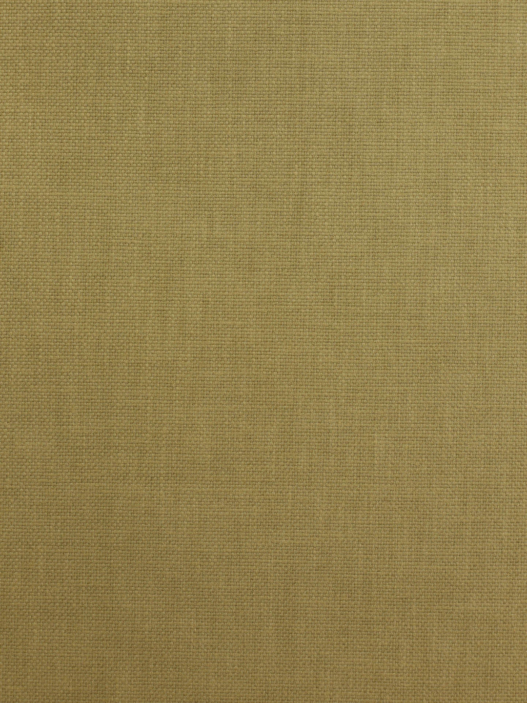 Oslo - Maize