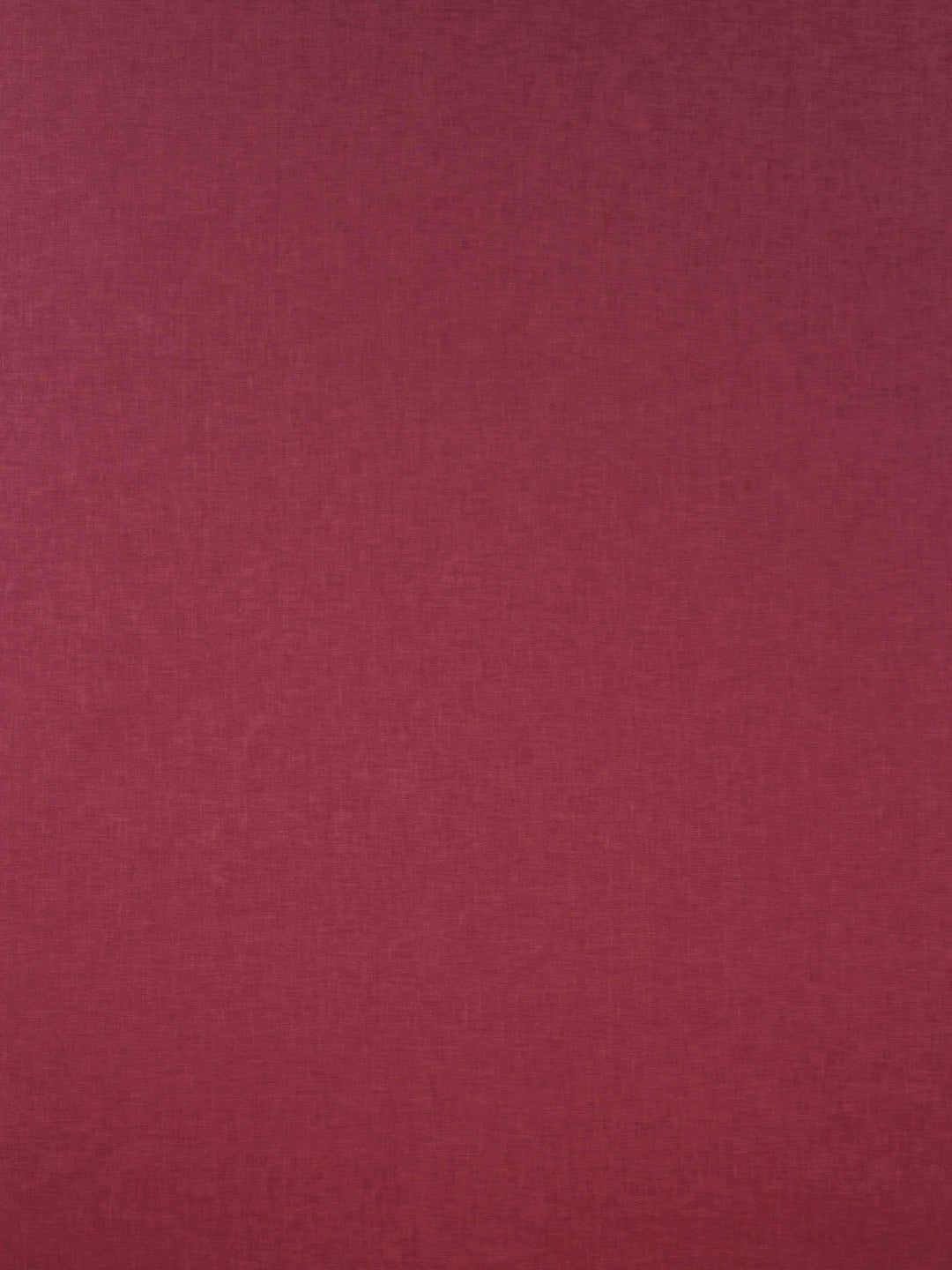 Oslo - Petunia