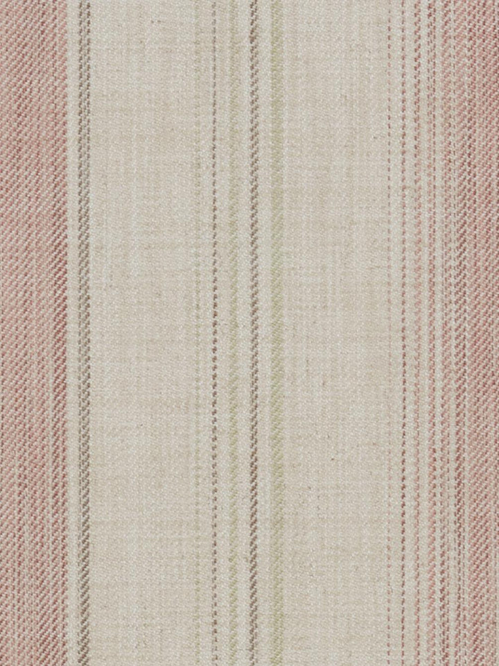 Sackville - Rosa