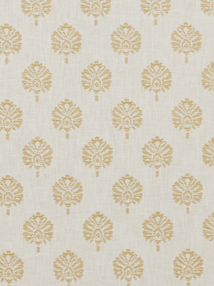 Segoa - Ochre