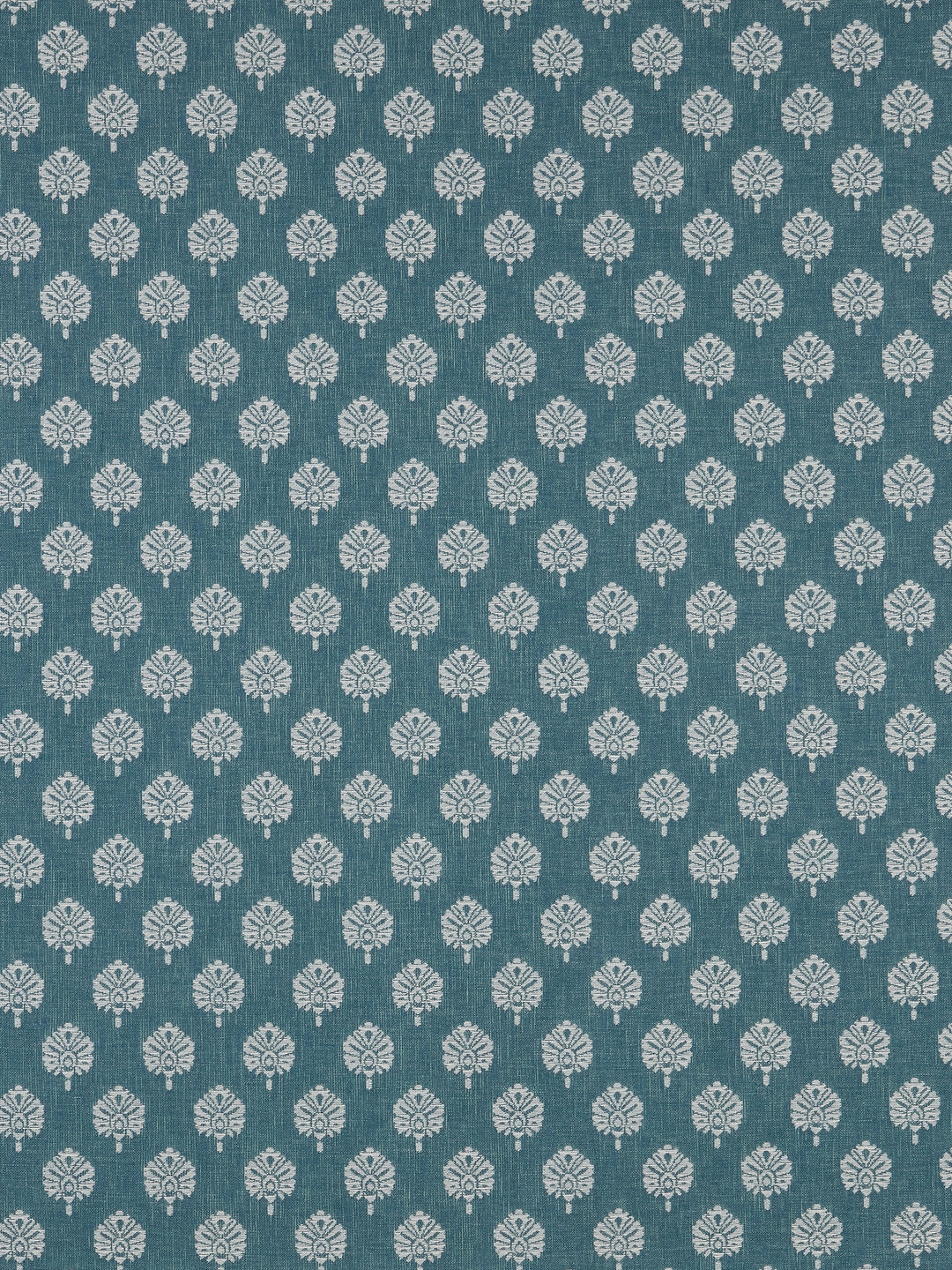 Segoa - Teal