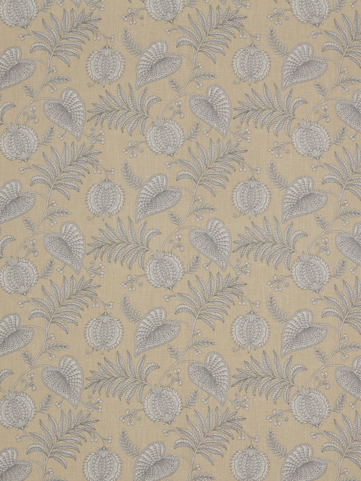 Senja - Maize