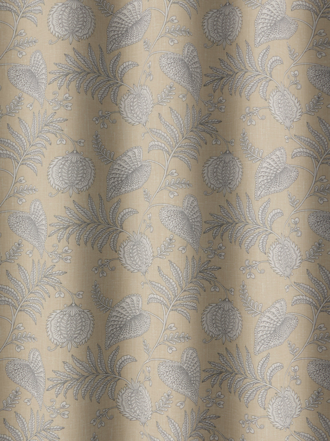 Senja - Maize