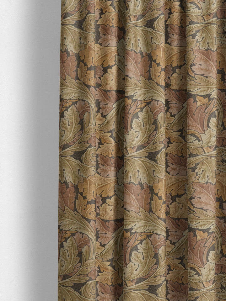 Acanthus - Acorn