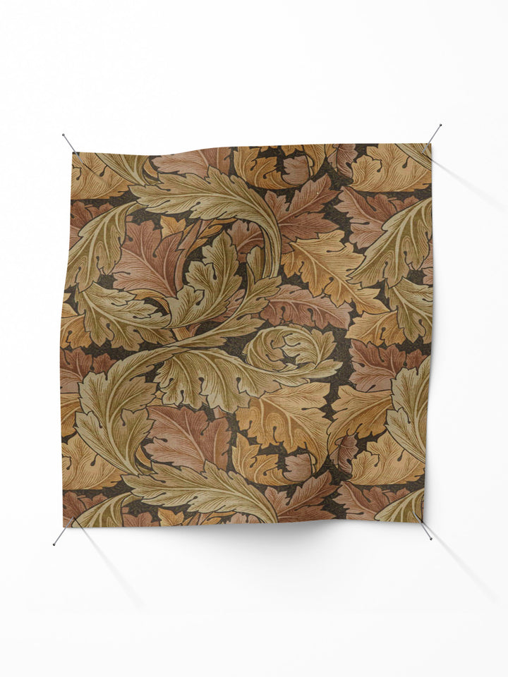 Acanthus - Acorn