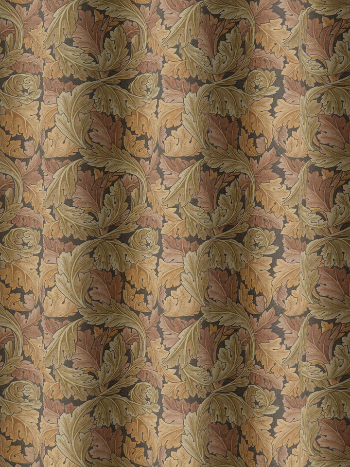 Acanthus - Acorn