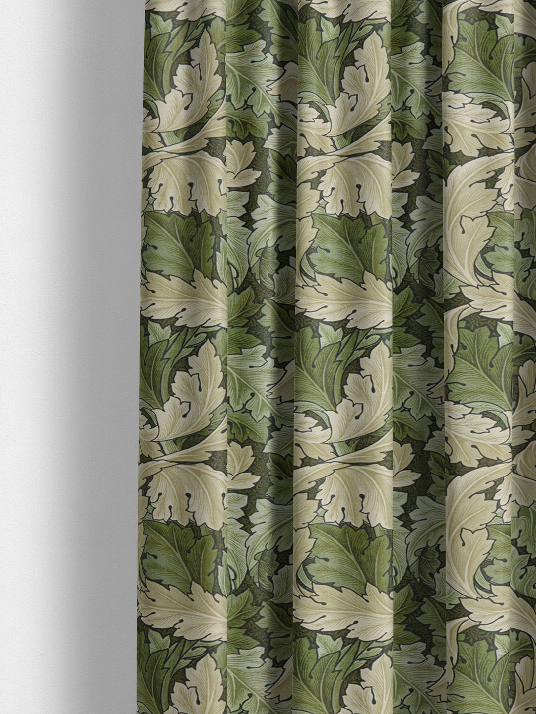 Acanthus - Nettle