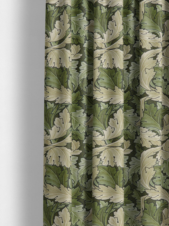 Acanthus - Nettle