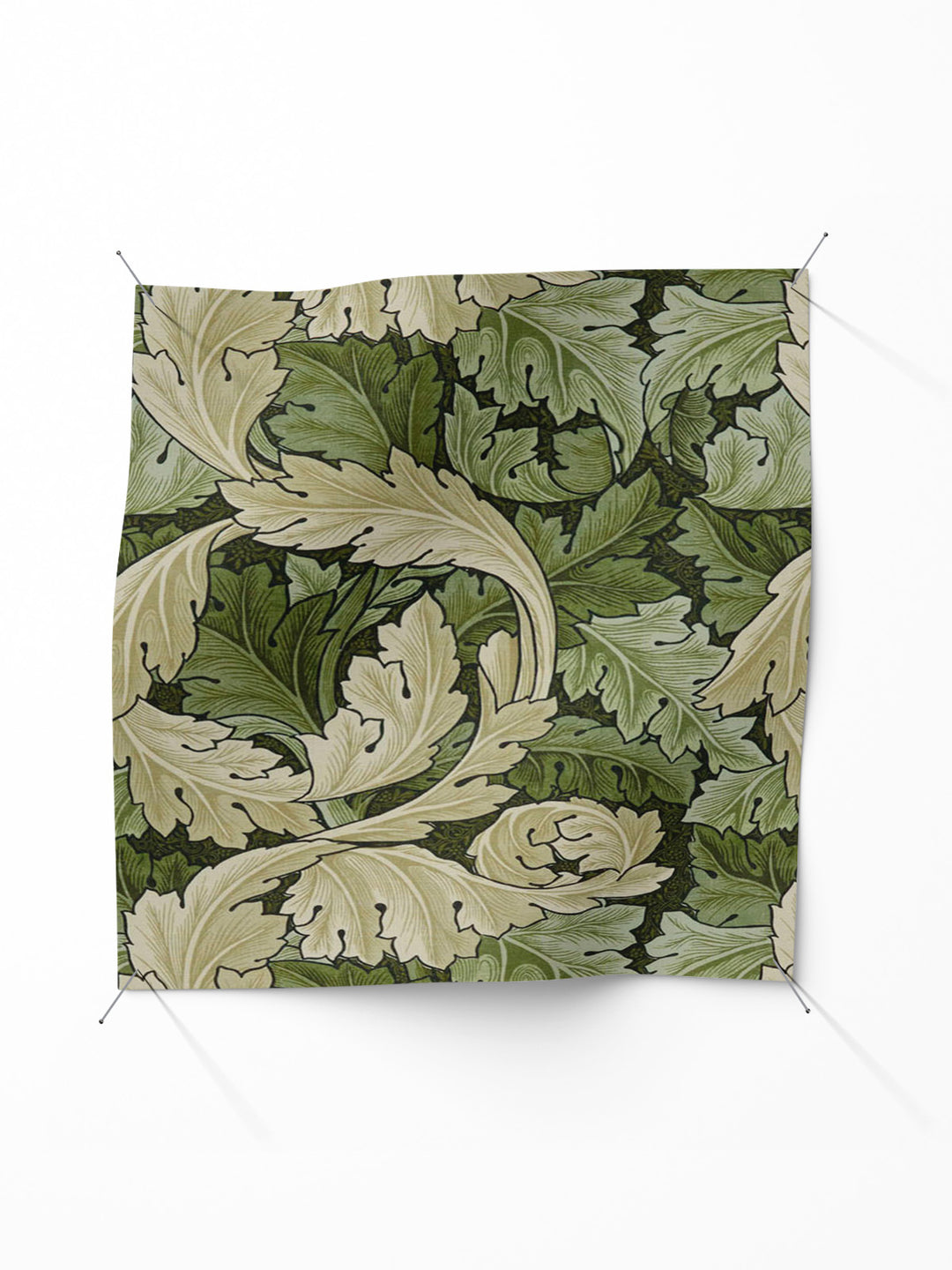 Acanthus - Nettle