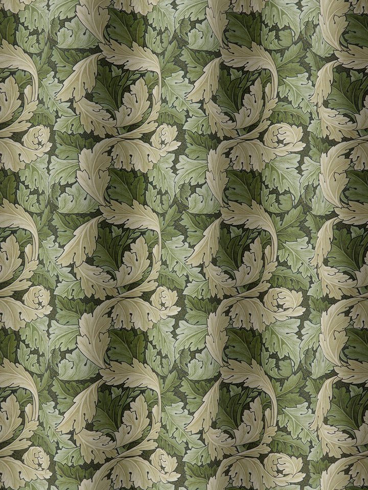 Acanthus - Nettle