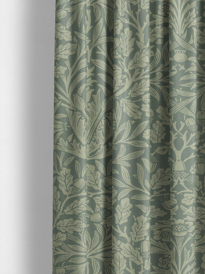 Acorn - Eucalyptus