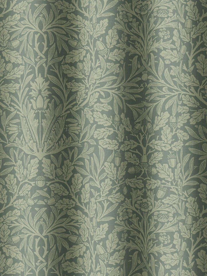 Acorn - Eucalyptus