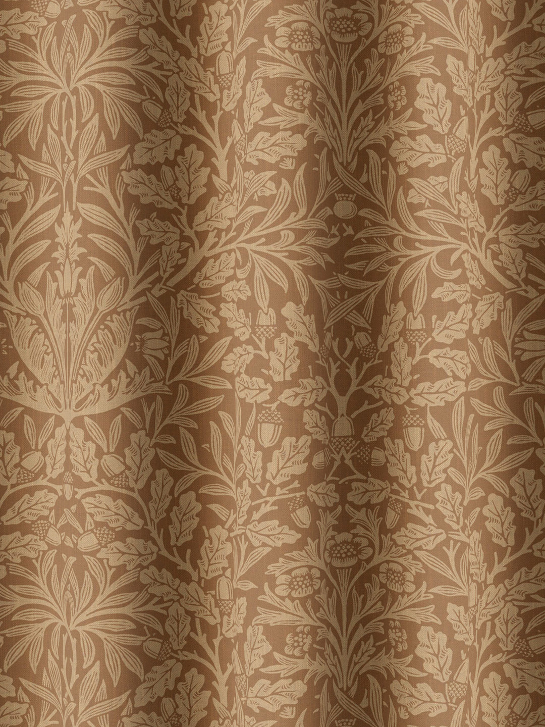 Acorn - Russet