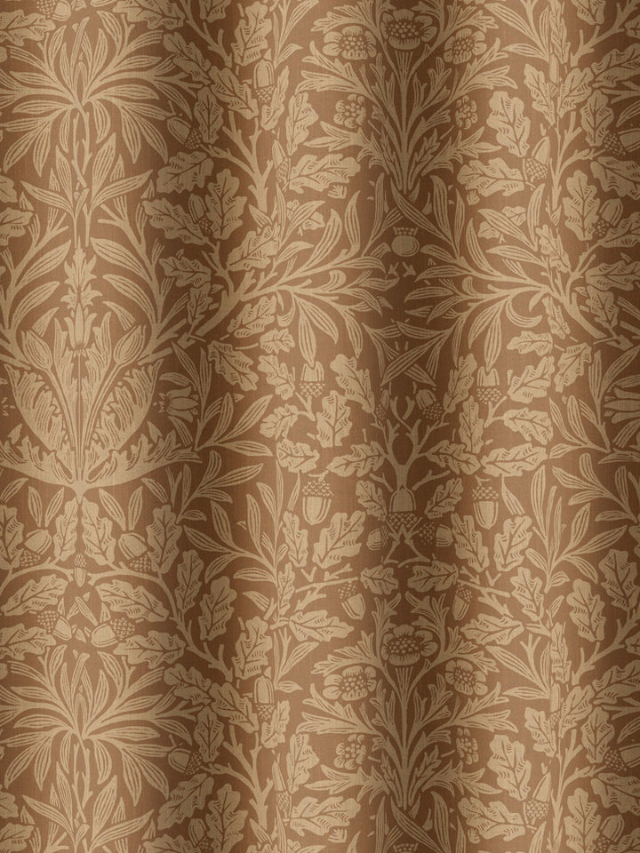 Acorn - Russet