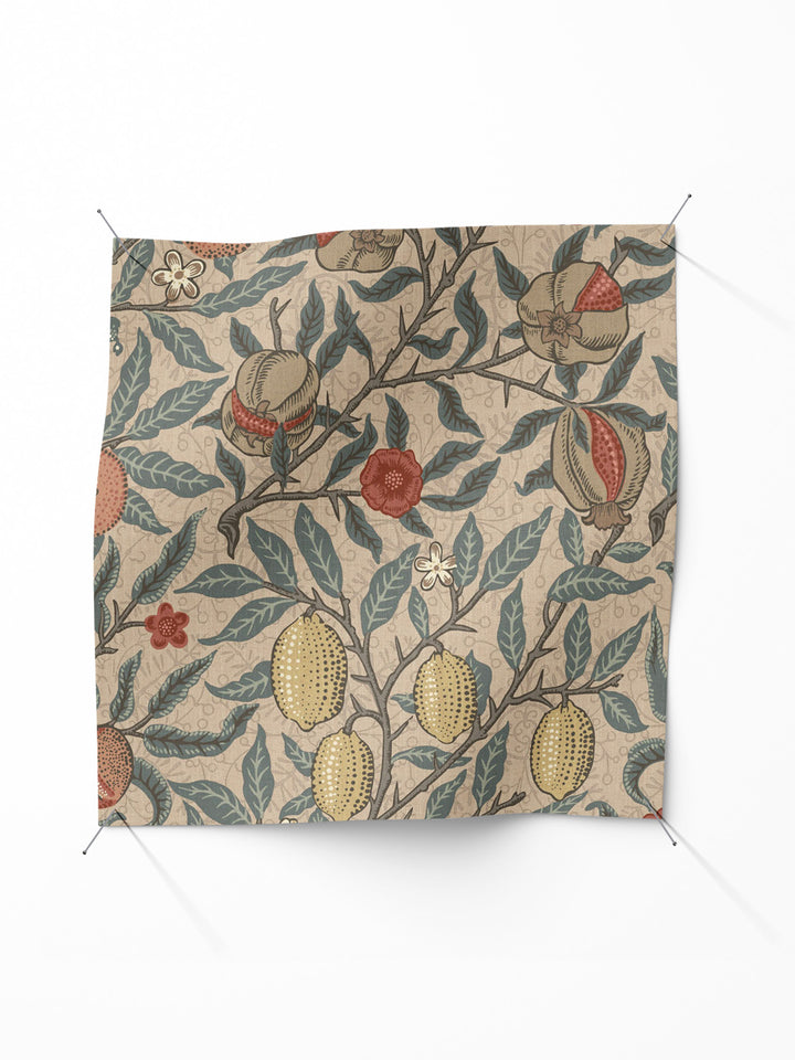 Fruit - Clay