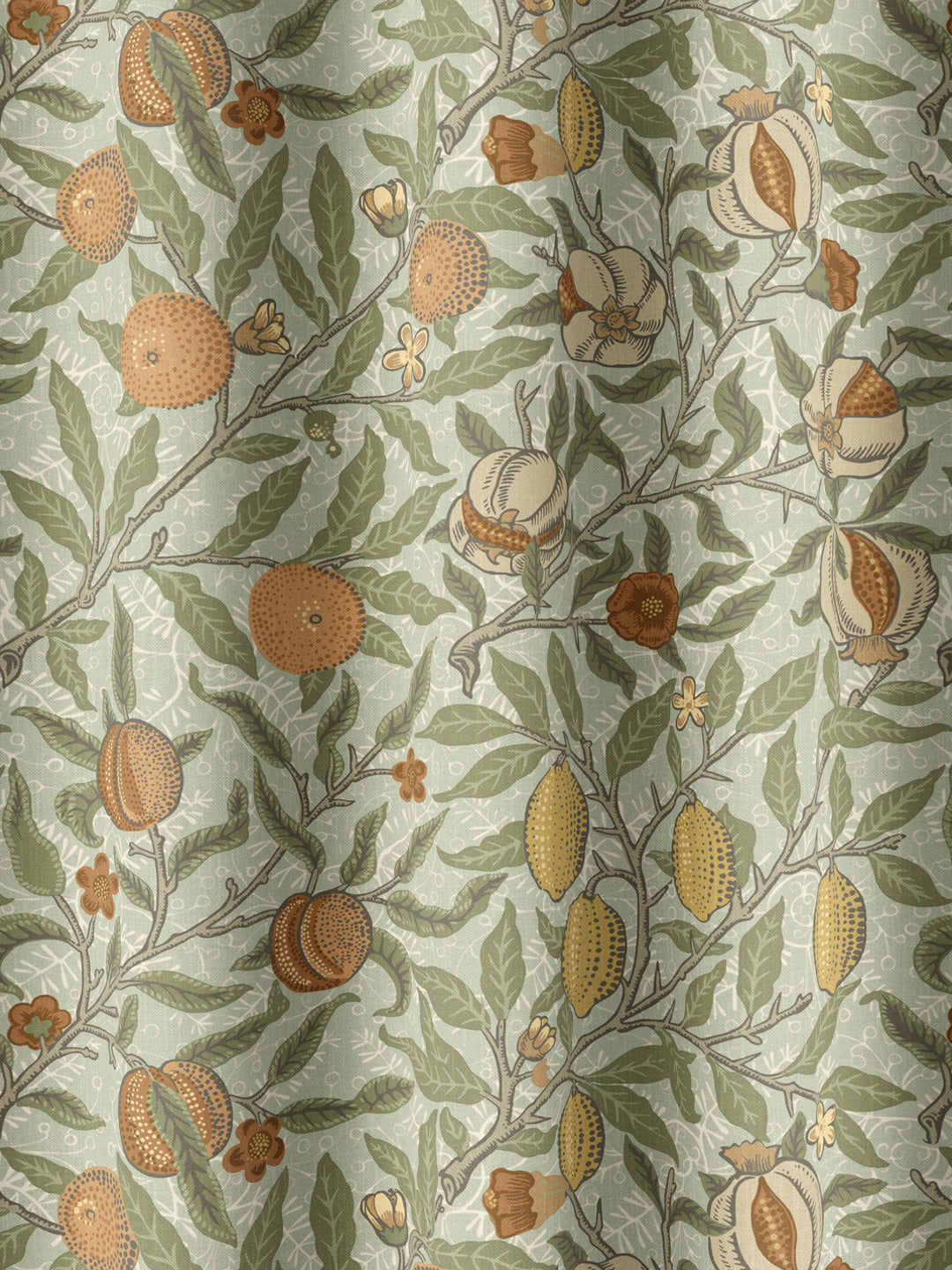 Fruit - Lichen
