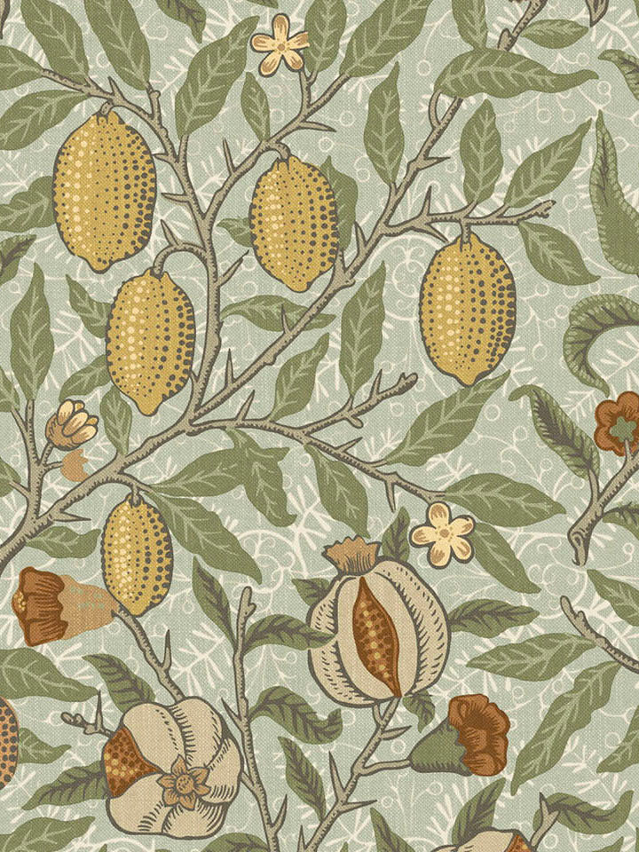 Fruit - Lichen