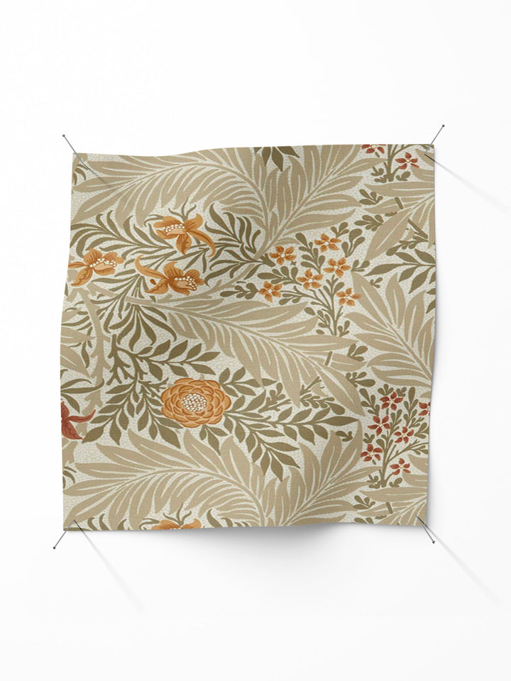 Larkspur - Acorn