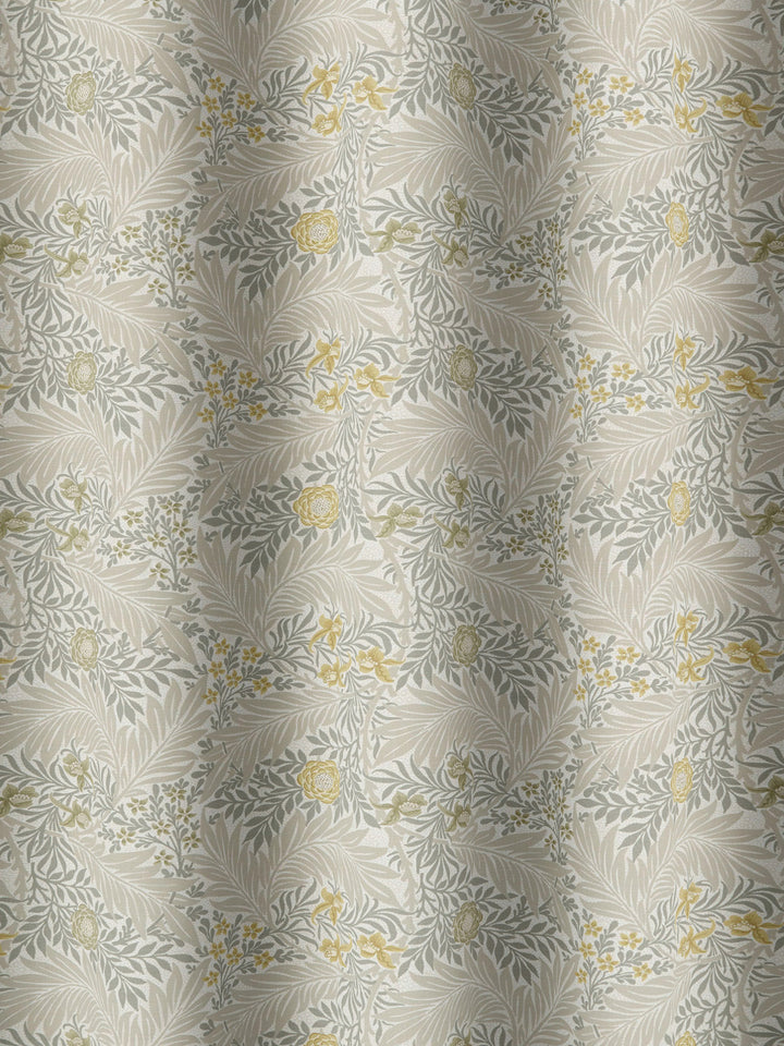 Larkspur - Flint