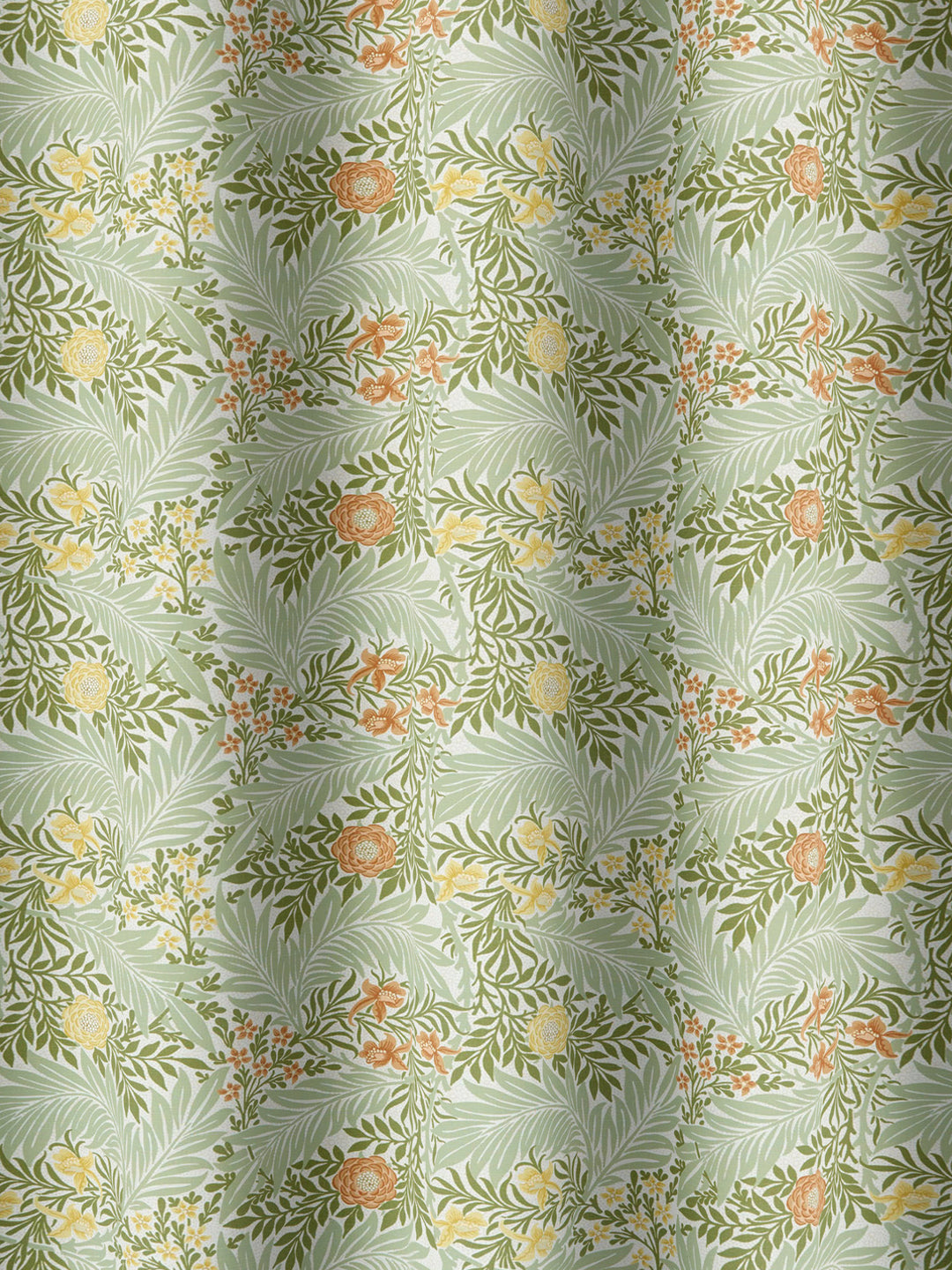 Larkspur - Nettle