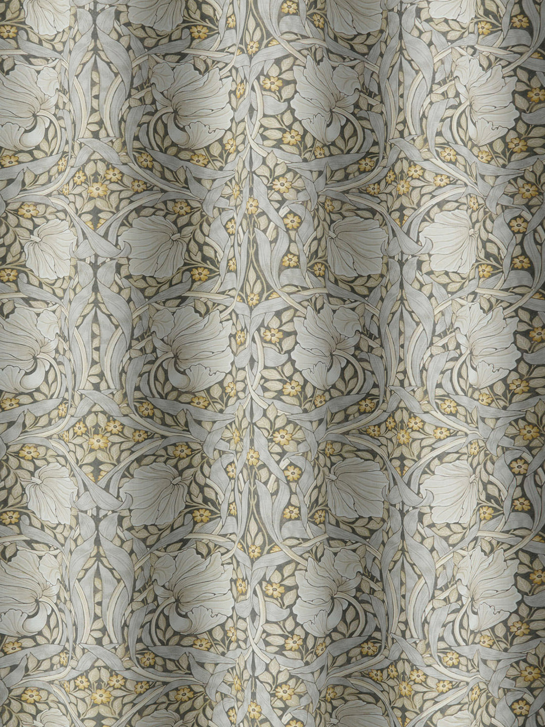 Pimpernel - Flint