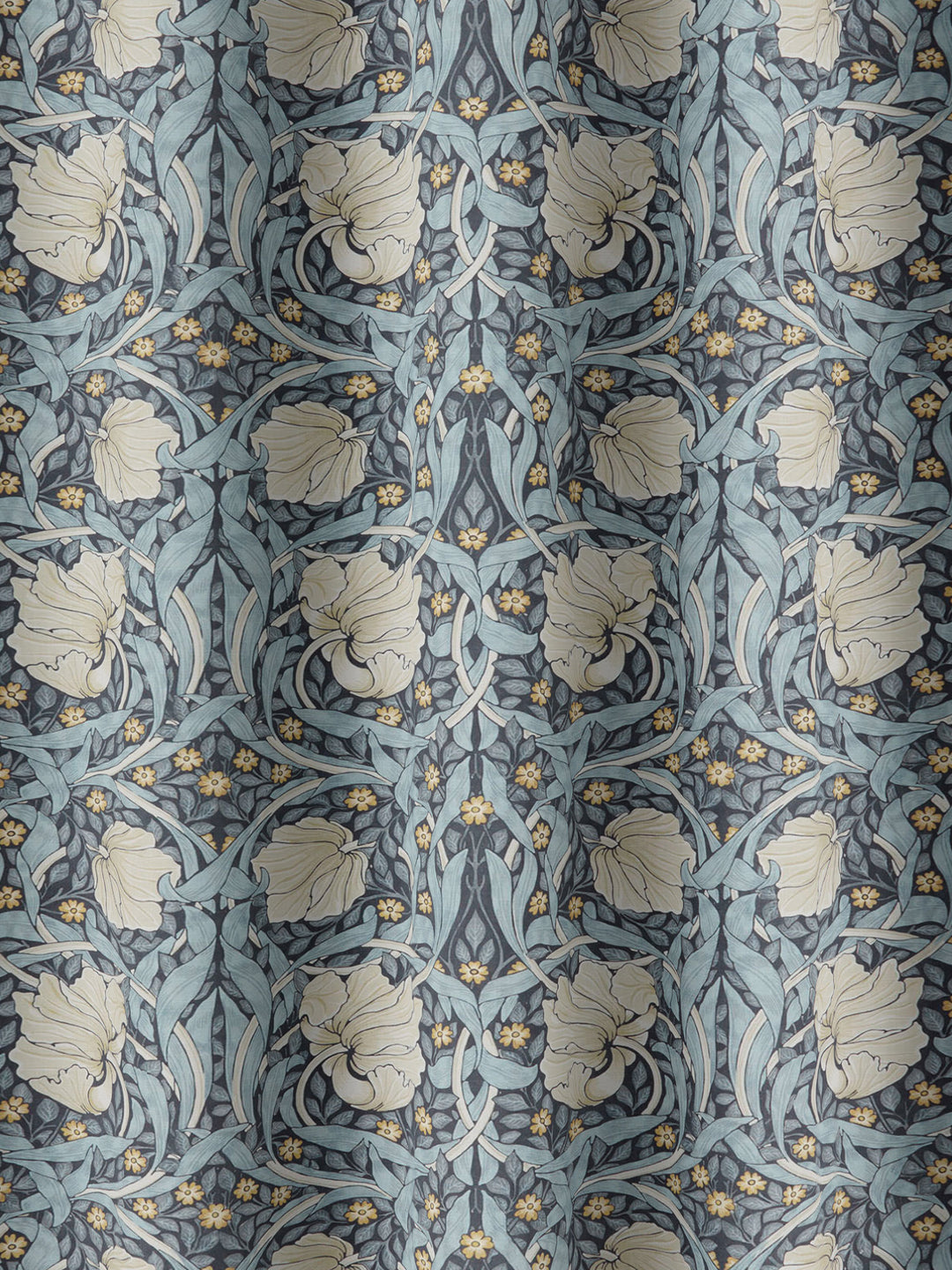 Pimpernel - Indigo