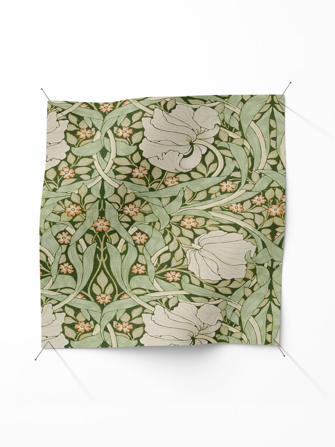 Pimpernel - Nettle
