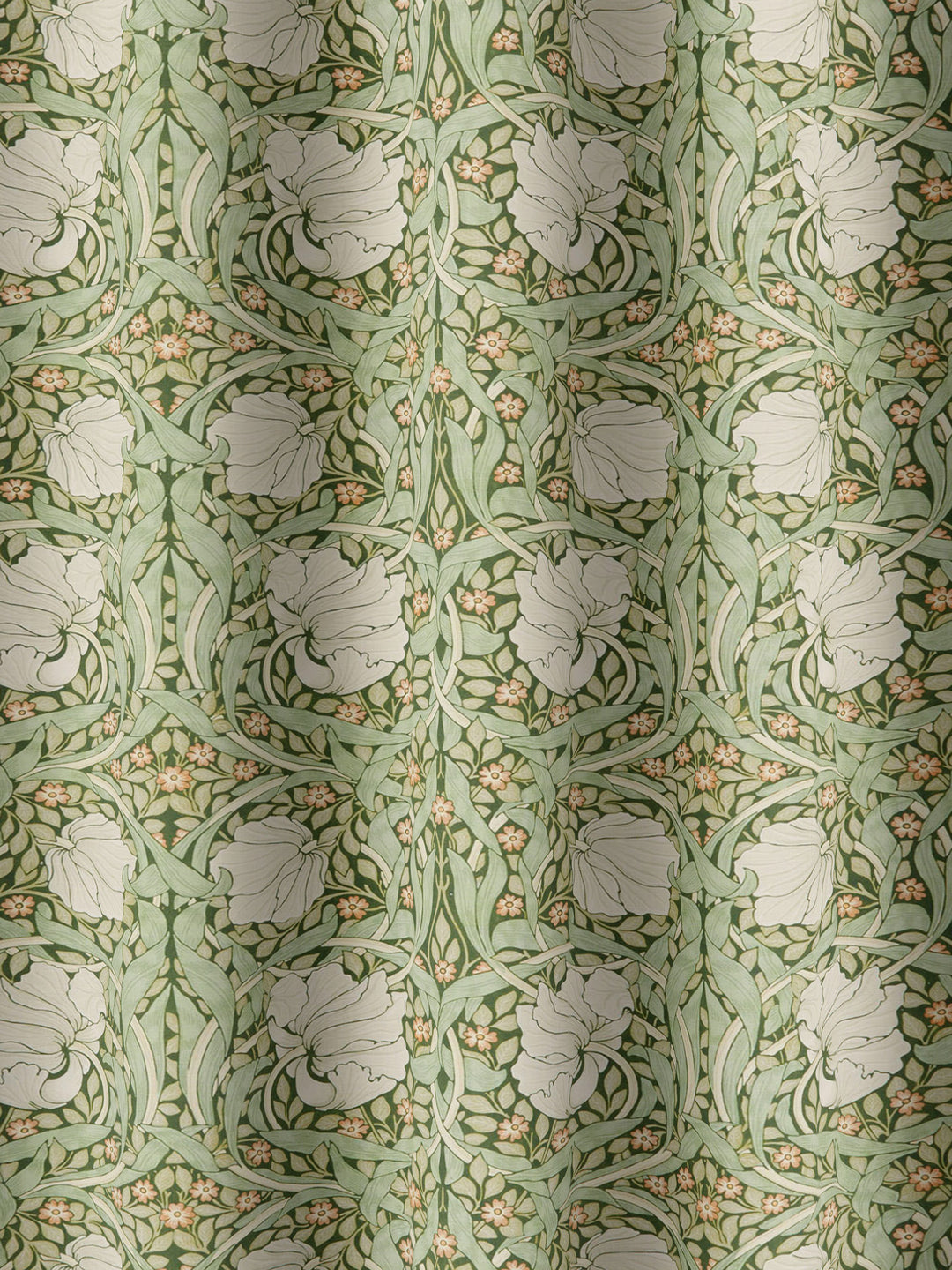 Pimpernel - Nettle