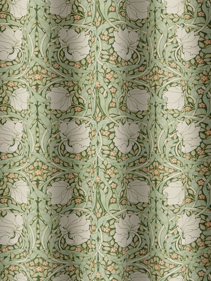 Pimpernel - Nettle